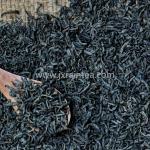 Box packing chunmee china green tea 41022