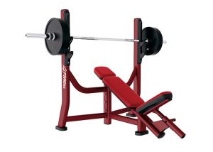 Quality ODM Commercial Grade Gym Equipment Incline Weight Lifting Bench Press wholesale