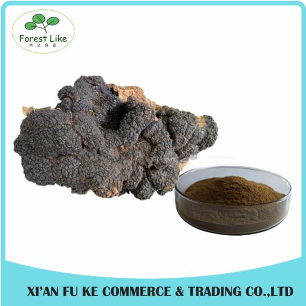 Natural Treat Diabetes Innocuous Health Products Chaga Mushroom Extract Powder