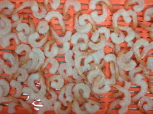 Quality IQF Frozen Skinless Vannamei White Shrimp / Fresh Frozen Shrimp For Restaurant wholesale