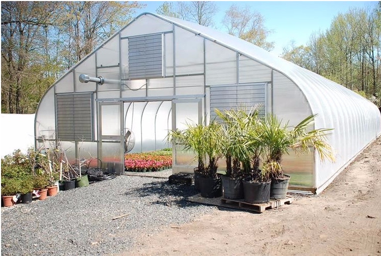 Polycarbonate Sheet Aquaponic Tomato Galvanized Steel Pipe For Prefabricated PcTent Greenhouse