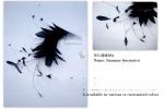 Stripped Goose Flower Feather Headband , Year Occasion Feather Flower Crown