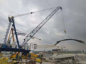 High Rise 18m 4ton Building Construction Crane Hoisting Mechanism