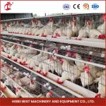96 Birds Automatic Chicken Cage Equipment Battery Egg Layer Cage For Laying Hens