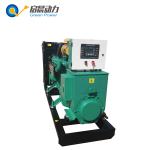 Long Service Life Open Type Biogas Generator Set Energy Saving 100kVA