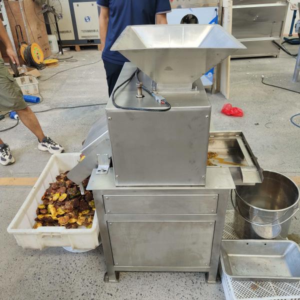 Manufacturer Sells Food-grade Stainless Steel Juicers Fruit Pulpers Mango Pit
