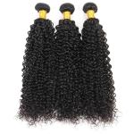 100 Unprocessed Virgin Curly Hair Bundles Natural Hair Line No Shedding