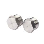 Forged Duplex Stainless Steel 2205 Hardware Uns31803 A182 F51 Hex Head Plug for