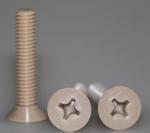 Countersunk Head Peek Screw Fastener