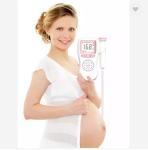 Pocket Doppler Fetal Portable Baby Heart Rate Monitor Ultrasonic Fetal Doppler