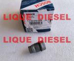BOSCH Pressure Relief Valve 1110010024 1 110 010 024