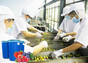 Quality Safety Berry Processing Equipment Water Saving Automatic PLC Controlled wholesale