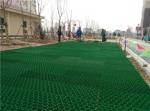 Road HDPE Black Green Gray Diamond Grid Gravel Grid System for Parking Lot and
