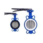 Ductile Iron Body Concentric Design Wafer Butterfly Valve for Straight Flow