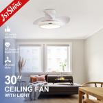 30 inch 110V 230V ABS Blades Ceiling Fan With Light 35W DC Motor
