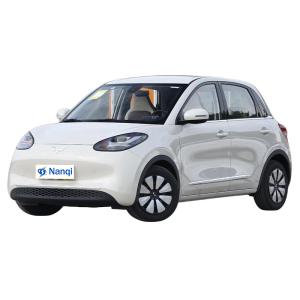 Quality Wuling Binguo Small Electric Vehicles Front Wheel Drive Large Space wholesale