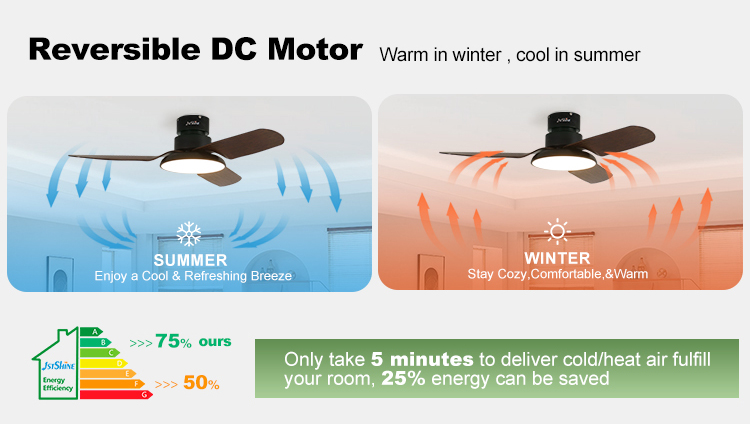 Metal Material Ceiling Fan with Low Noise DC Motor and Air Conditioning LED Lighting