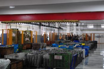 WD Bearing Group