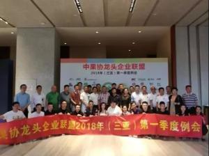 Quality the regular meetings and the activities for the alliance of Chinese leading fruits company wholesale