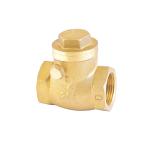 Female Threaded Brass Swing Check Valve