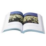 Softcover Coloring Book Printing Services Lamination finishing