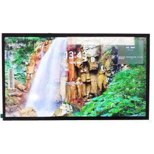 Quality 15.6 Inch 1920*1080 High Brightness LCD Display 1000nits LVDS TFT BOE LCD Screen wholesale