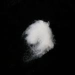 Water Absorbent Ethylene Propylene Polyester Staple Fiber White Bicomponent