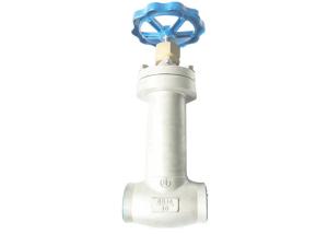 Quality Steam Jacket Globe Valve Cast Steel Customize Pressure SS Welding Cryogenic Valve wholesale