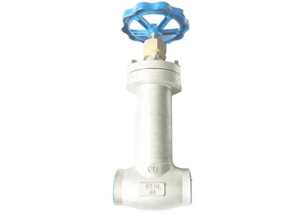 Steam Jacket Globe Valve Cast Steel Customize Pressure SS Welding Cryogenic