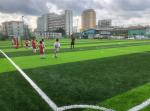 50mm Stem Shape Artificial Football Pitches With Disease Resistance