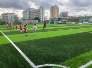 Quality 50mm Stem Shape Artificial Football Pitches With Disease Resistance wholesale