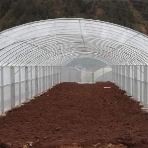 Quality Double Film Double Arches Greenhouse Vegetable Growing 2.8m Tunnel Plastic Greenhouse wholesale