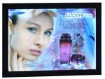 Aluminum Frame Advertising LGP DC12V Magnetic LED Light Box