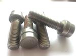 UNS S31803 S32205 Duplex Stainless Steel Fasteners DIN1.4462 2205 Bolt Nut Stud