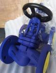 WCB cast steel PN40 bellows globe valve