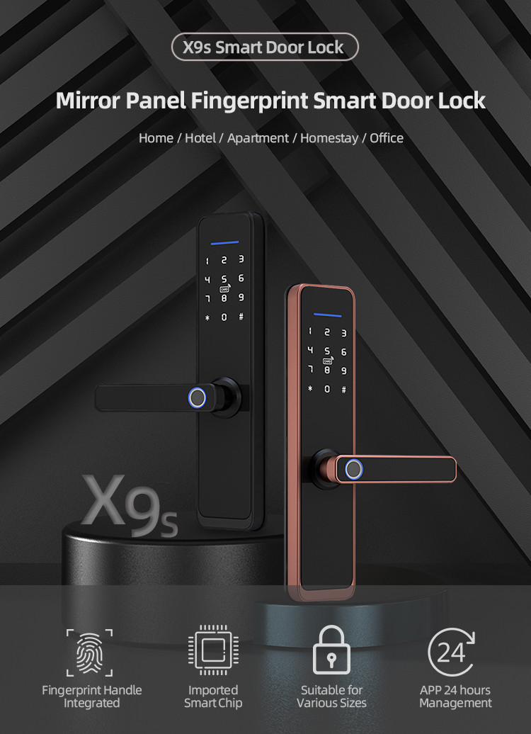 Security Tuya Biometric Fingerprint Lock Compatible For Apartments Office