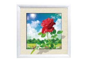 Quality CMYK Printing 5D Effect Lenticular Movie Poster / Pictures With White MDP Frame wholesale