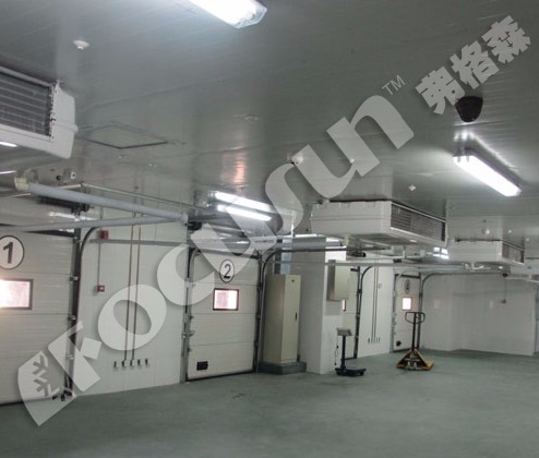 Compressor Refrigeration System Frozen Cold Room for Frozen Product Preservation