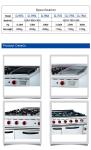 Professional Gas Powered Restaurant Cooking Equipment in Stainless Steel