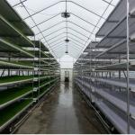 Grass Hydroponic Fodder Machine Livestock Big Farm Fodder Growing Systems