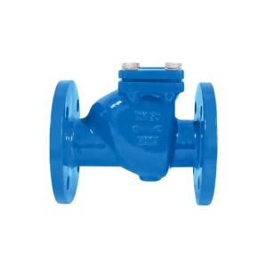 China Swing Type Ductile Cast Iron Check Valve BS Standard BS5153 on sale