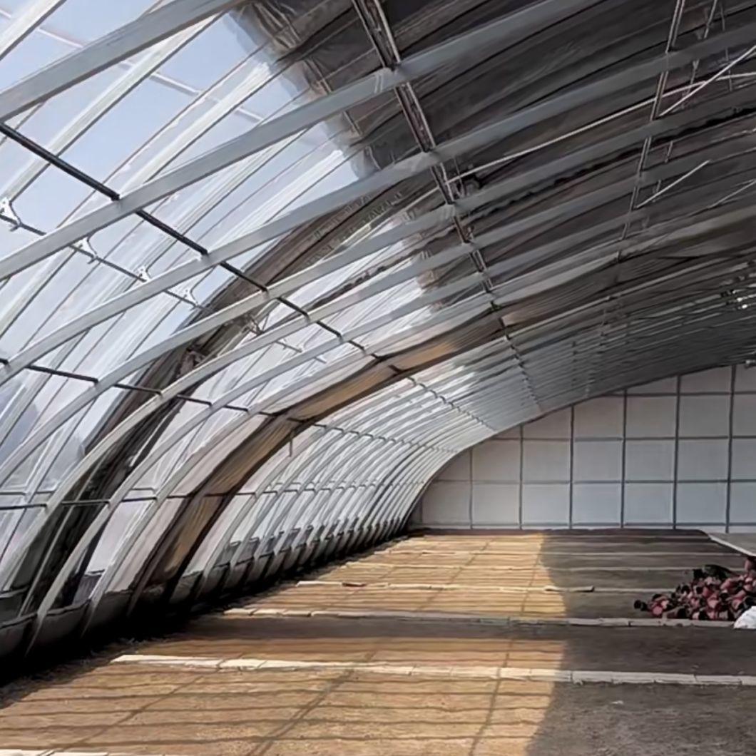 Aquaponics Sunlight Sparay Irrigation Vegetable Production Greenhouse
