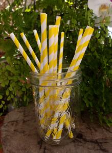 Yellow Striped Patterned Party Paper Straws (12 Pack)