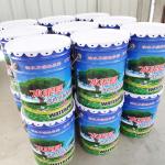 Self Healing Technology Crystalline Waterproofing Coating 20kg/Bucket For