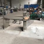 Multifunctional SUS304 316 Ribbon Blender Mixer Machine For Protein Powder