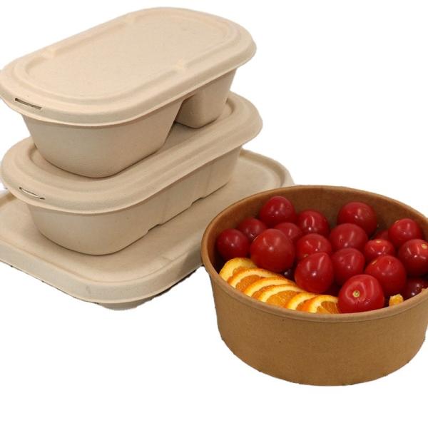 Eco Food Packaging Biodegradable Takeaway Boxes Compostable Disposable Food