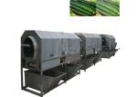 Stainless Steel 304 Drum Type Vegetable Washing Machine