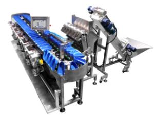 Quality 300g 300pcs/Min Frozen Food Packing Machine Highly Intelligent wholesale