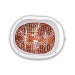 Red Light Therapy Rejuvenate Brain Photobiomodulation Helmet