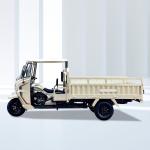 Rear-Axle Full Floating Motorcycle Tricycle 3 Wheel Cargo for Adult Rose Gold
